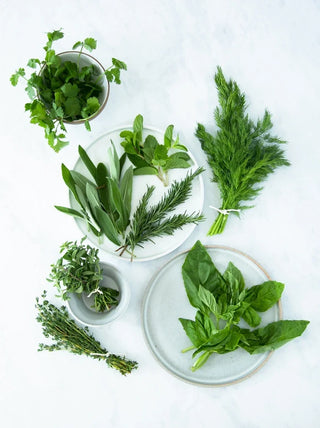 Herbs for Juicing
