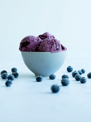 a bowl of Blueberry Lavender Yogurt Sorbet