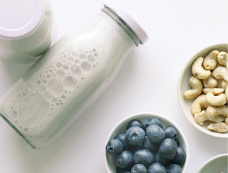 Making Plant-Based Milks at Home
