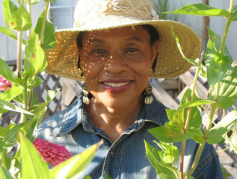 The Ultimate List of Black-Owned Farms & Food Gardens