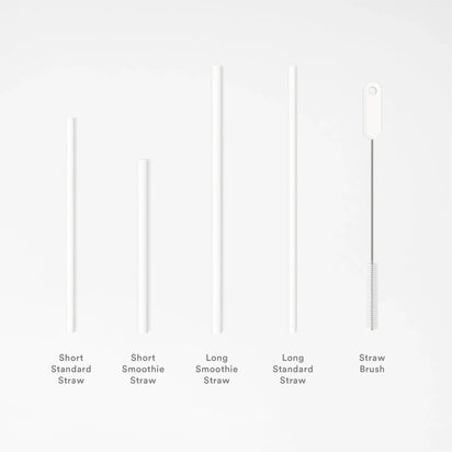 The Bottle Accessory Pack includes five items: four reusable straws in assorted lengths and thicknesses—labeled as short/long standard or smoothie straws—and a straw cleaning brush on the far right.